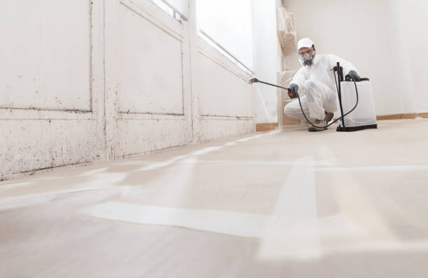 24/7 Emergency Mold Testing experts in Rogers, TX